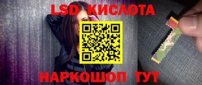 стафф Донской