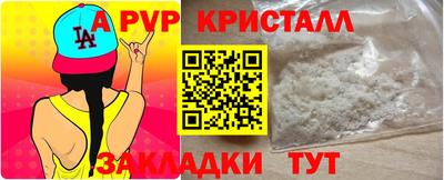 стафф Донской