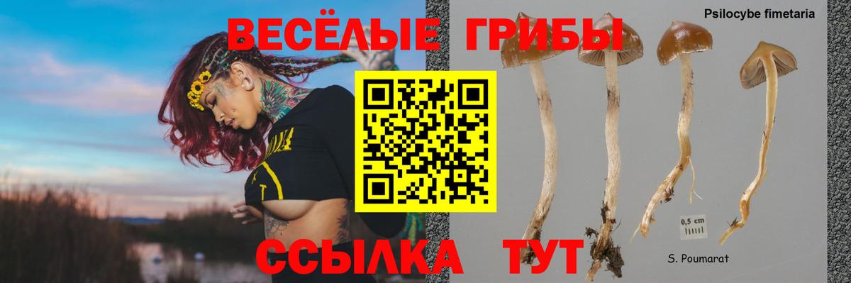 Арсеньев  Галлюциногенные грибы ЛСД  Галлюциногенные грибы мицелий  Вход с VPN 